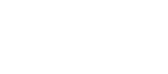 falcon